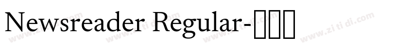 Newsreader Regular字体转换